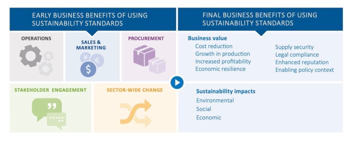 Sustainability sustainable business green create matters beyond going profits kinn inc